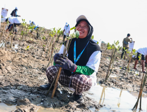 Harapan Baru Warga Timbulsloko Demak, 10 Tahun Melawan Rob Kini Jadi Percontohan Pemulihan Pesisir Pantura